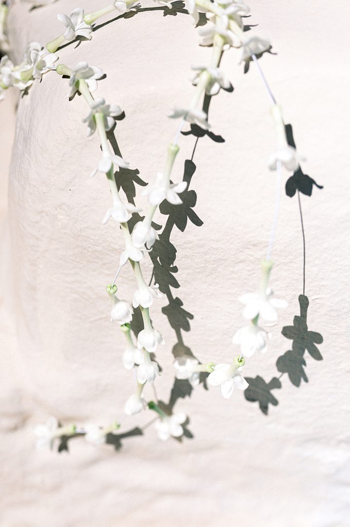 gros plan de fleurs de jasmin contre le mur du Mas de la Rose, lieu de réception de mariage de luxe en Provence dans le sud de la France